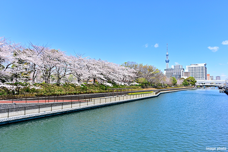 猿江恩賜公園｜猿江恩賜公園レジデンス
